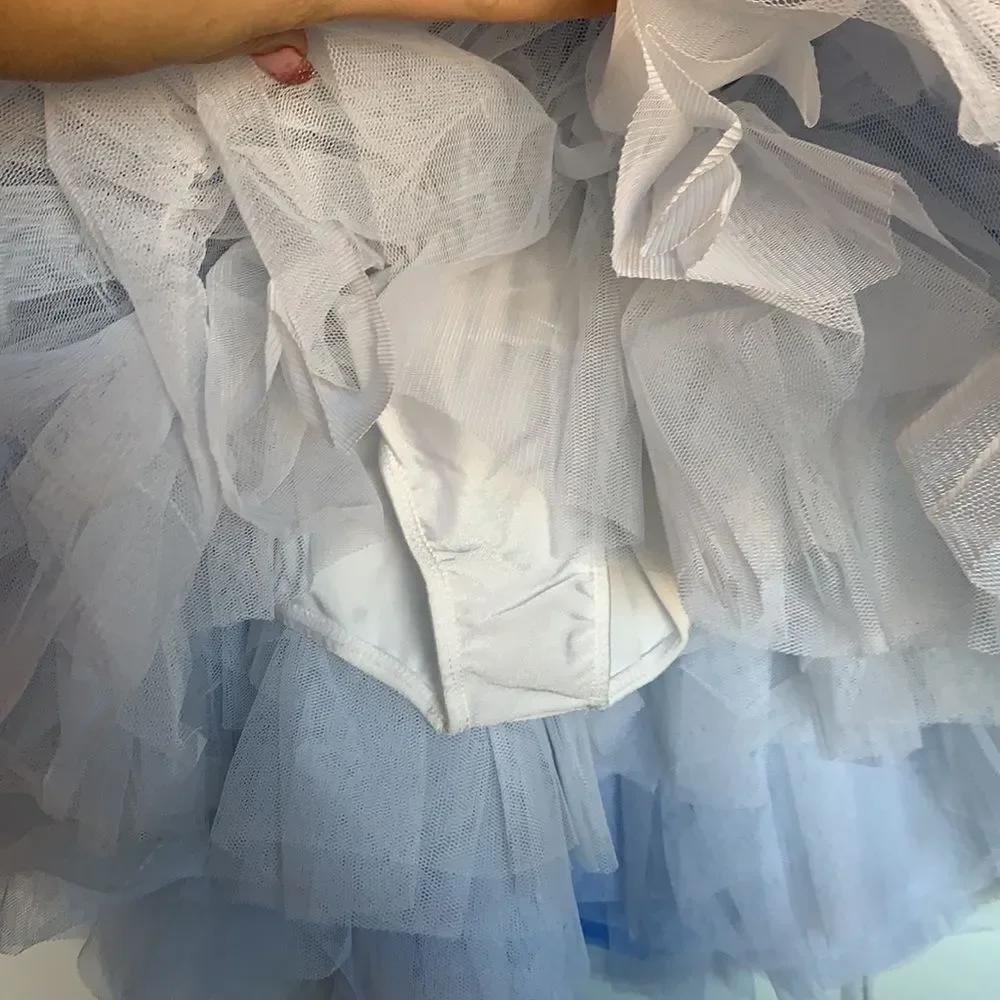 Gorgeous DANCE COSTUME Blue White Child's Ballet Tutu Pretty Flowers